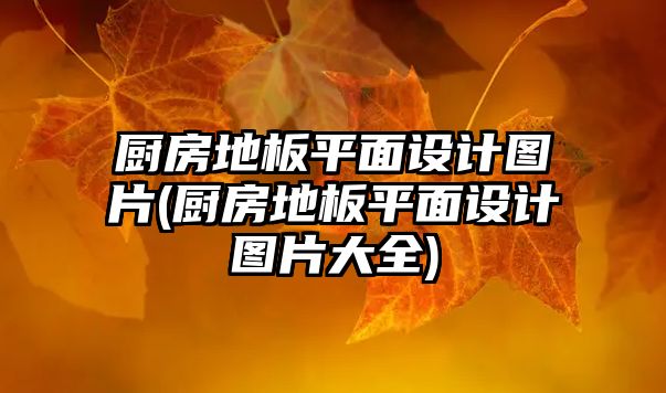 廚房地板平面設(shè)計(jì)圖片(廚房地板平面設(shè)計(jì)圖片大全)